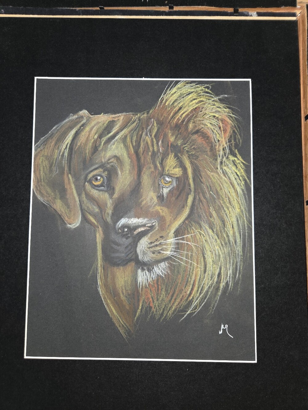 Originl Signed Rhodesian Ridgeback Pastel Framed 11 X 14 - Picture 2 of 2